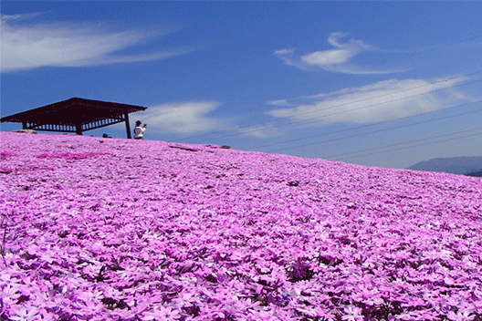 【県中】平田村