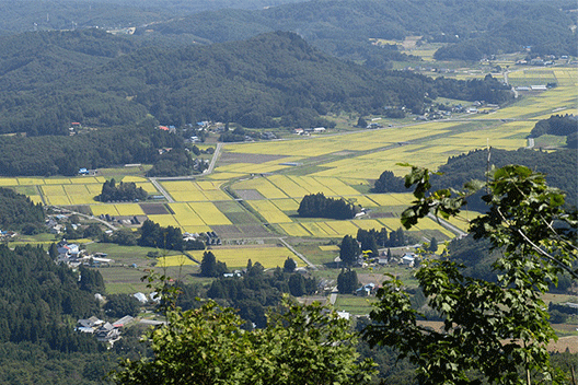 飯舘村