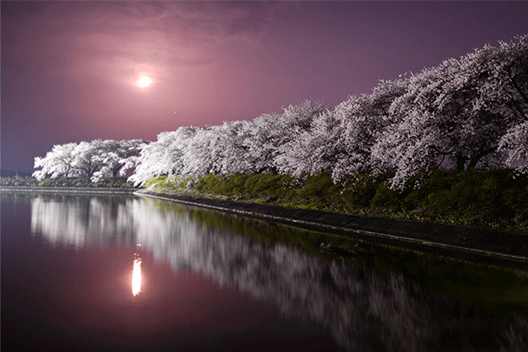 楢葉町