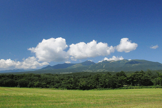 西郷村