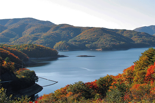 天栄村