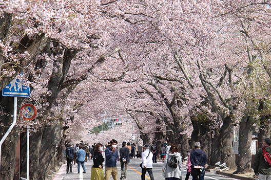 【相双】富岡町