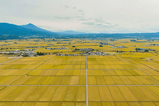 湯川村